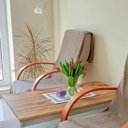 Noclegi, Sloneczne Mieszkanie We Lwowku Slaskim 公寓 希隆斯克地区勒武韦克