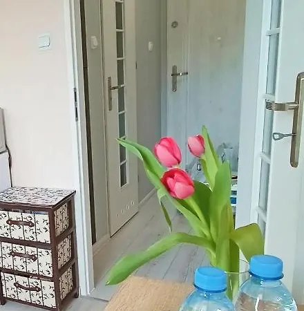 Noclegi, Sloneczne Mieszkanie We Lwowku Slaskim 公寓 *