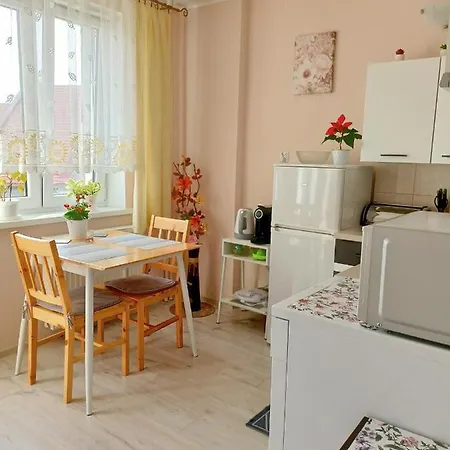 公寓 Noclegi, Sloneczne Mieszkanie We Lwowku Slaskim *