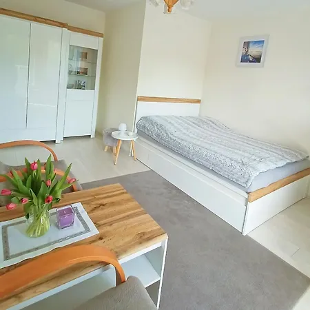 Apartment Noclegi, Sloneczne Mieszkanie We Lwowku Slaskim