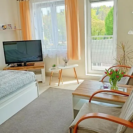 Noclegi, Sloneczne Mieszkanie We Lwowku Slaskim