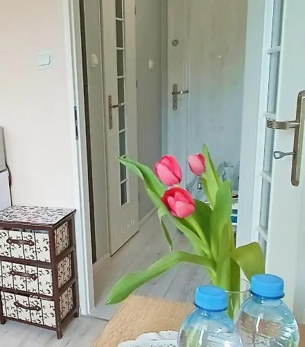 Noclegi, Sloneczne Mieszkanie We Lwowku Slaskim Daire *