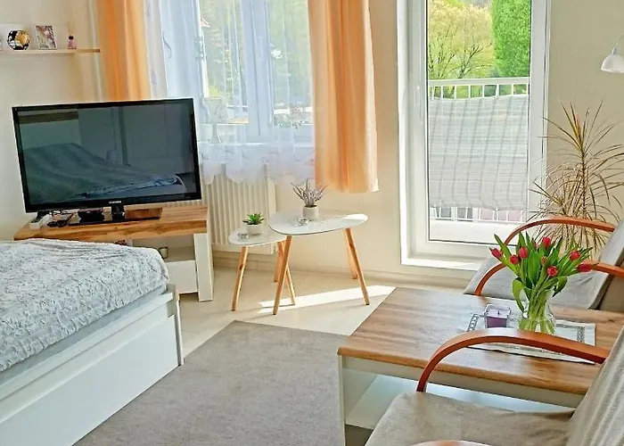 Noclegi, Sloneczne Mieszkanie We Lwowku Slaskim