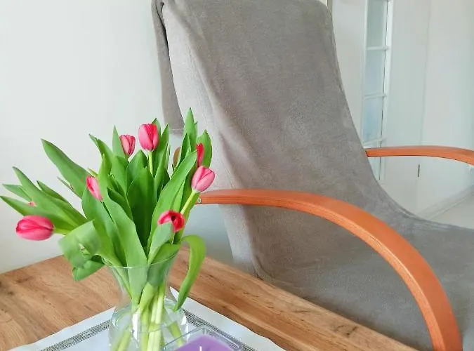 Noclegi, Sloneczne Mieszkanie We Lwowku Slaskim Daire