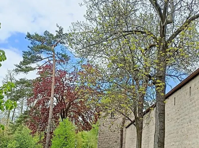 Noclegi, Sloneczne Mieszkanie We Lwowku Slaskim Daire *